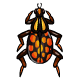 Coi scarab orangespotted.gif