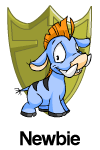 File:Newbie Shield.gif
