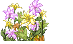 File:Flowers.png