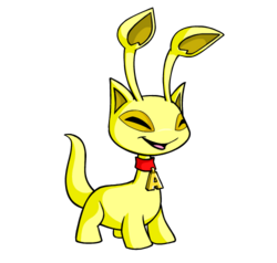 aisha neopets wiki