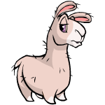 File:Gnorbu sheared baby.gif