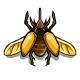Coi scarab horned.gif