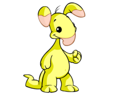Yellow blumaroo cropped.png