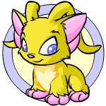 File:Acara yellow baby.gif