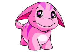 Pink poogle cropped.png