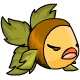 File:Pet scado.gif