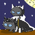 Thumbnail for version as of 03:24, 18 October 2008
